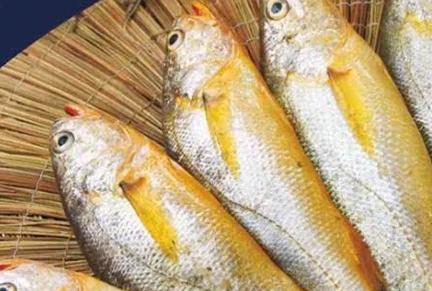 新闻爆料海鱼视频下载大全,海量海洋生物资源一网打尽 第3张 新闻爆料海鱼视频下载大全,海量海洋生物资源一网打尽 第3张